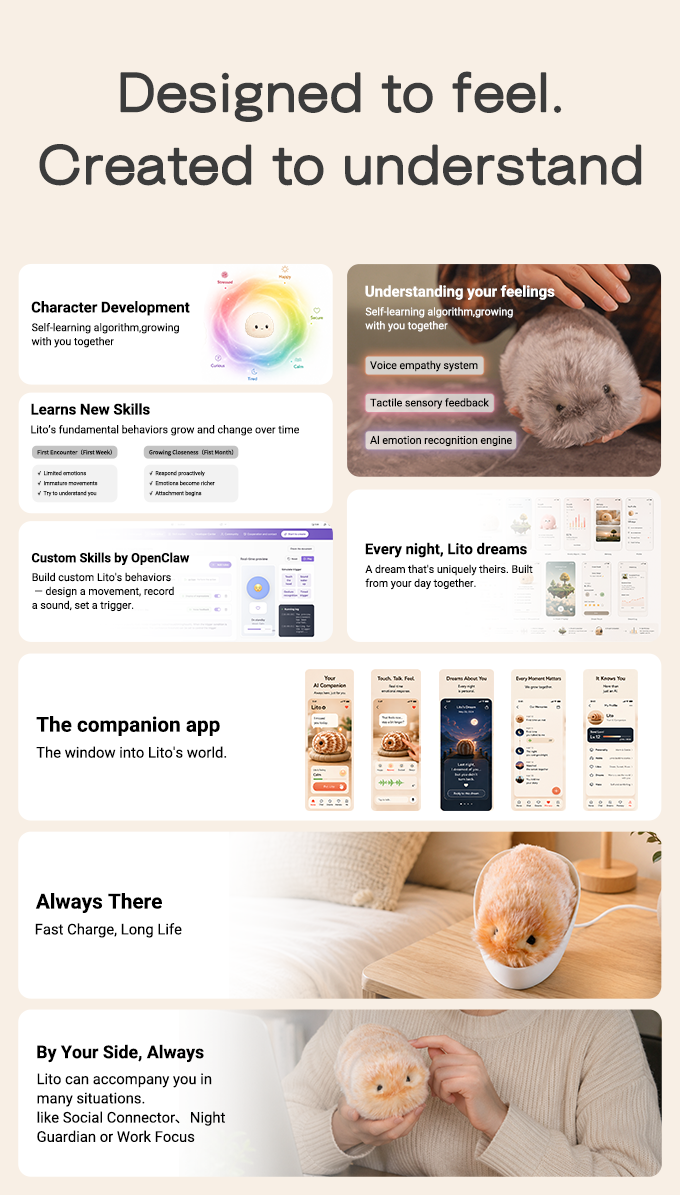 Lito AI companion feature overview
